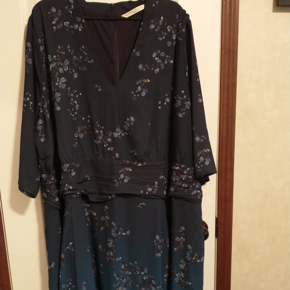 Wayward Fancies Mid- length Floral Print Ombre Dress